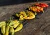 Test street foodu w Bangkoku – co koniecznie trzeba spróbować?